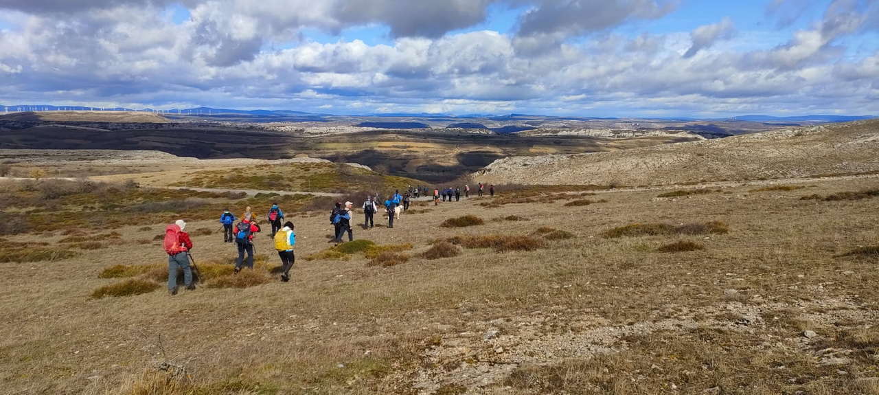 WhatsApp Image 2026-02-10 at 14.47.47 (6)